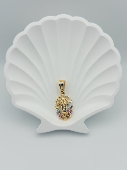 Virgencita tricolor Pendant